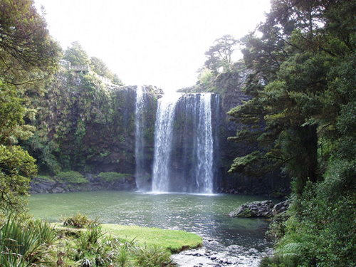 Whangarei Falls